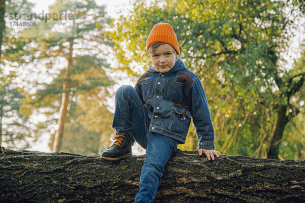 Junge wandert im Herbstwald. Konzepte von Abenteuer  Tourismus für Kinder.