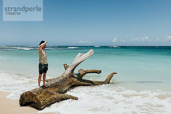 Mann steht auf umgestürztem Baum und blickt an einem Strand auf Oahu auf das Meer