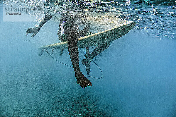 Männlicher Surfer hält Surfbrett beim Unterwassertauchen auf den Malediven