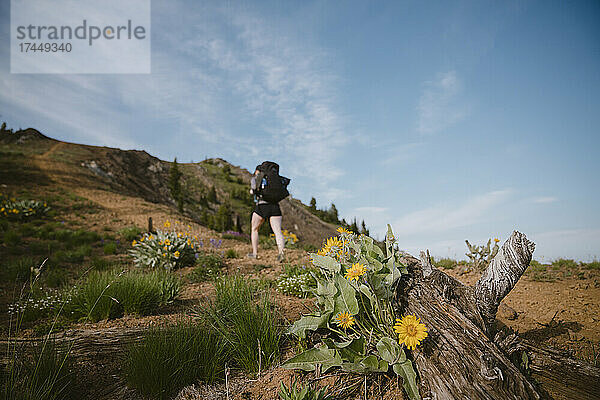 Verschwommener Wanderer auf dem Weg mit Wildblumen im Vordergrund