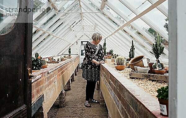 Frau kauft Sukkulenten in einem Gartencenter-Gewächshaus