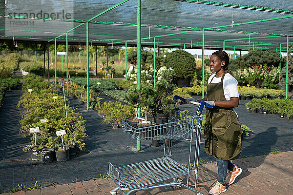 Afroamerikanischer Gärtner läuft mit Trolley