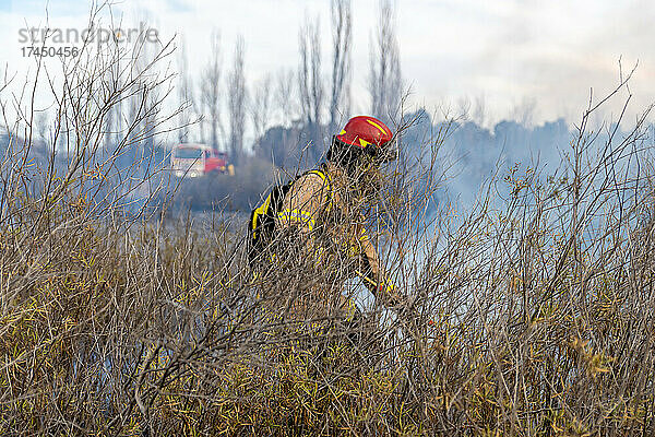 Feuerwehrleute löschen einen Brand im Wald