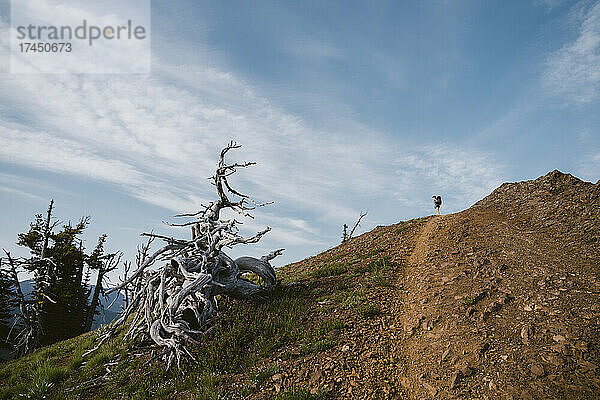 Wanderer steht auf dem Gipfel mit felsigem Pfad im Vordergrund