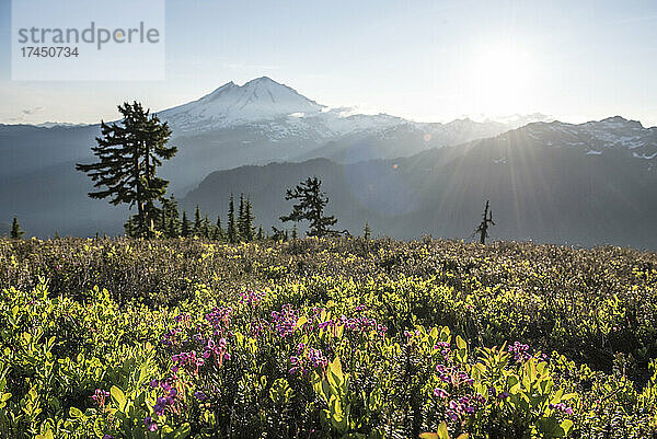 Sonnenuntergang über Mount Baker  WA