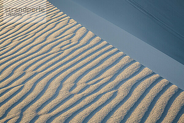 Abstrakte Muster oben auf der Sanddüne  White Sands  New Mexico