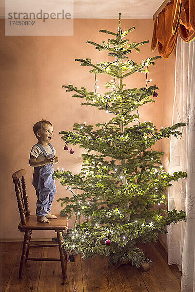 Kleiner Junge blickt voller Ehrfurcht zum ersten Mal auf den Weihnachtsbaum