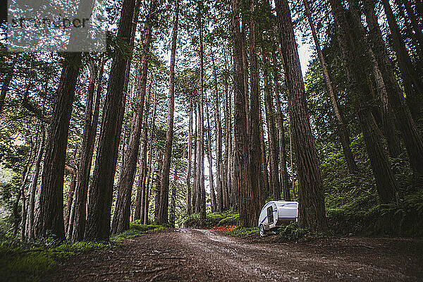 Kleiner Teardrop-Wohnmobilanhänger  geparkt im Redwood Forest  Kalifornien
