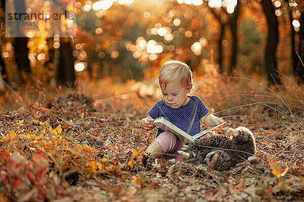 Kleines Schild  das im Herbstwald ein Märchenbuch liest
