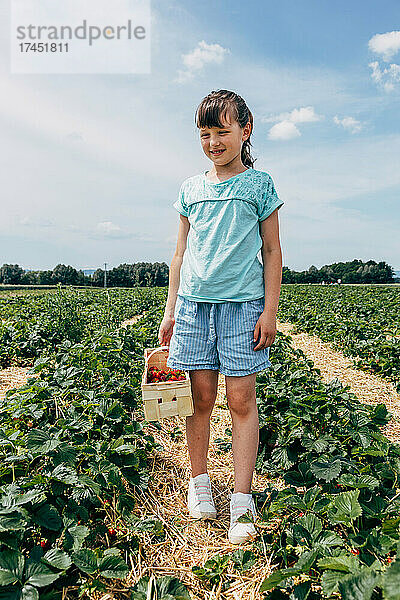 Glückliches Mädchen steht auf einem Bauernhof mit einem Korb voller frischer Erdbeeren