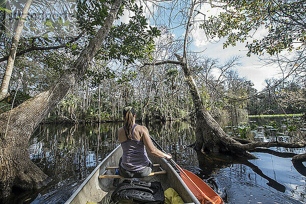 Eine Frau fährt mit dem Kanu an Mangrovenbäumen im Wakiwa-Fluss vorbei.