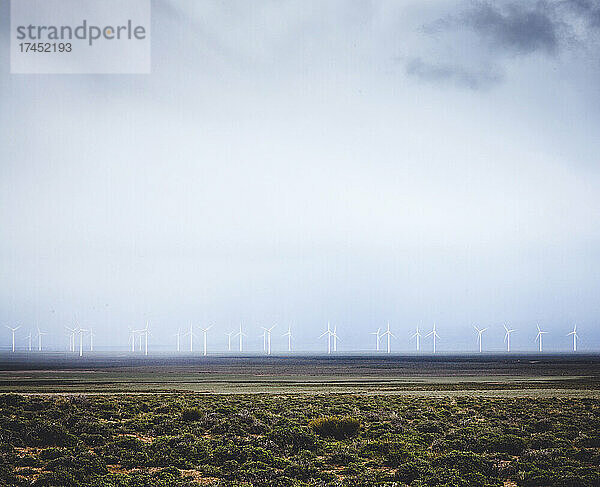 Windkraftanlagen und Wolken und Nebel in trostloser Landschaft in Nevada