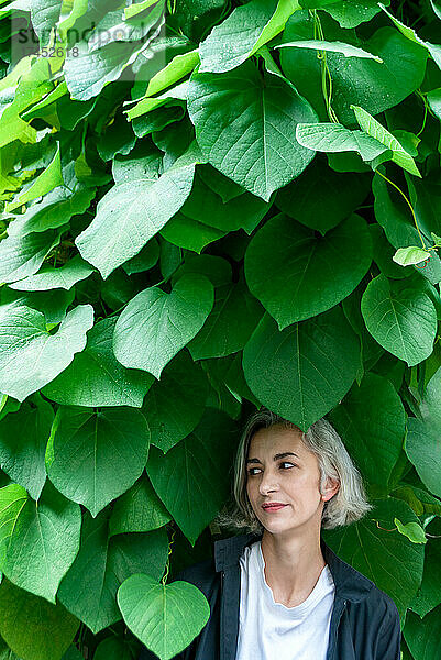 Eine grauhaarige Frau blickt in der Nähe einer von Viticant-Pflanzen umrankten Wand weg