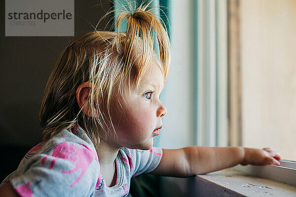 Blauäugiges Kleinkindmädchen schaut aus dem Vorderfenster des Phoenix-Hauses