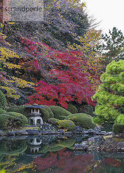 Bild eines abgelegenen Teichs in den Gärten von Tokio