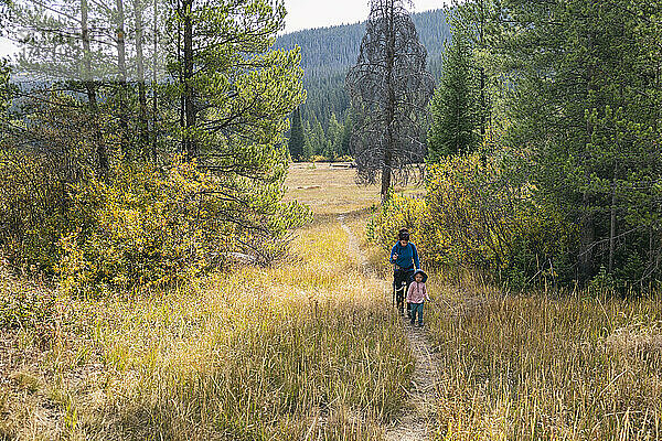 Wandern in der Eagles Nest Wilderness  Colorado