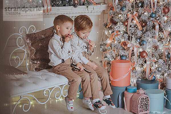 Fröhliche süße Kinderjungen  die Geschenke unter dem Weihnachtsbaum öffnen.