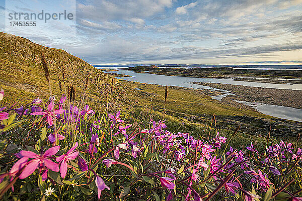 Landschaft Sylvia Grinnell Park Pavilion  Iqaluit  Baffininsel Kanada