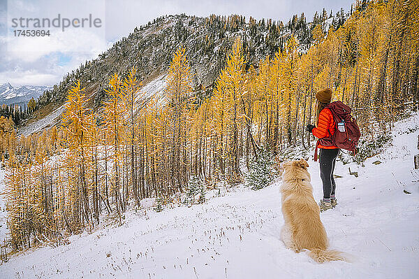 Wanderin und Hund wandern im Herbst durch Lärchen