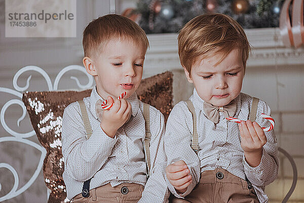 Fröhliche süße Kinderjungen  die Geschenke unter dem Weihnachtsbaum öffnen.