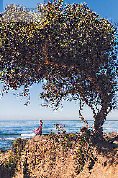 Frau sitzt auf einem Baum auf einer Klippe mit Blick auf den Ozean.