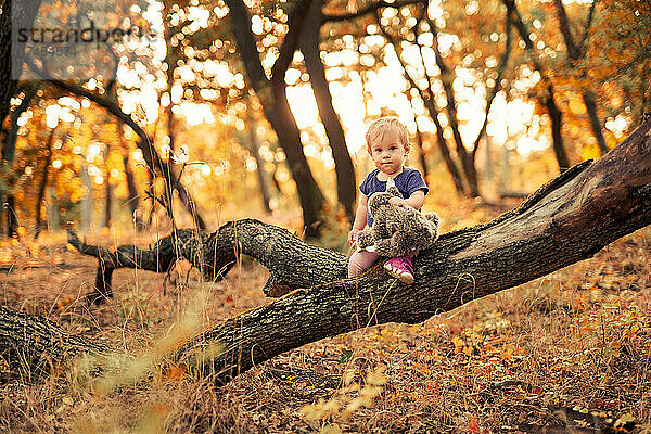 Kleines Kind sitzt auf einem umgestürzten Baum im Herbstwald
