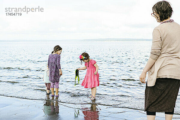 Drei junge Mädchen betrachten Algen am Ufer des Puget Sound