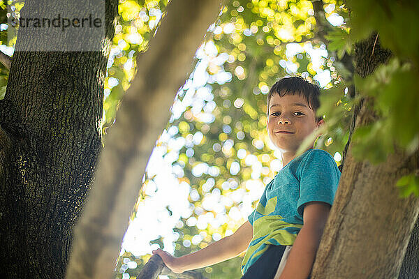 Junge klettert auf einen Baum mit grünen Blättern um ihn herum