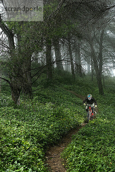 Junger Mountainbiker fährt an einem wunderschönen nebligen Morgen in Spanien schnell