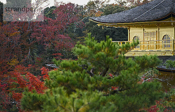 der berühmte Tempel Kinkaku-ji in der Nähe von Kyoto