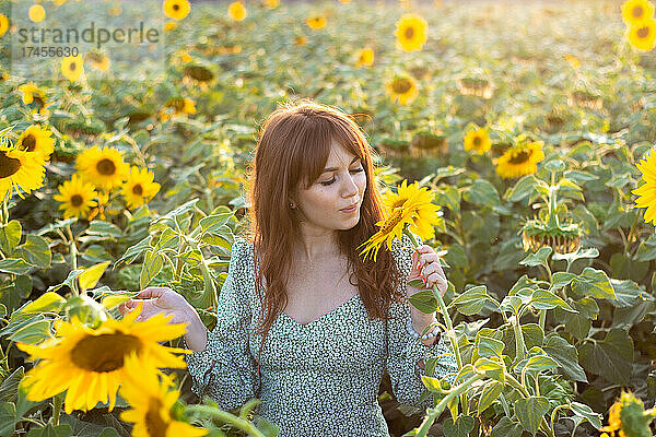 Eine junge lächelnde rothaarige Frau blickt wie eine Sonnenblume unter den Sonnenblumen