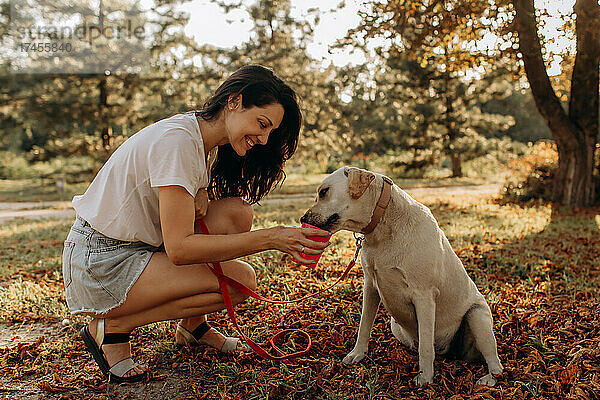 Glückliche Frau gibt ihrem Labrador-Welpen im Freien Wasser