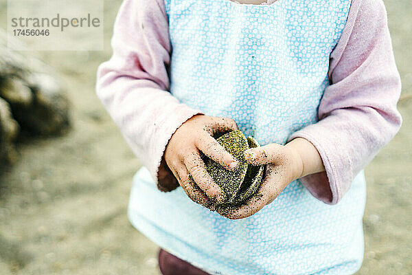 Nahaufnahme eines Kindes  das eine Muschelschale am Carkeek Beach hält
