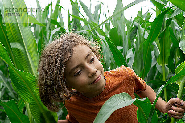Lächelnder Junge  der neugierig auf grüne Maispflanzen blickt