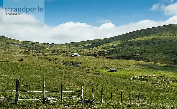 Blick auf die Hochebene von Cezallier  Regionaler Naturpark der Vulkane der Auvergne  Departement Puy de Dome  Auvergne Rhône Alpes  Frankreich  Europa