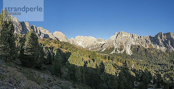 Blick auf Col de la Pieres und Langkofel im Hintergrund  Gröden  Val Gardena  Dolomiten  Trentino  Italien  Europa