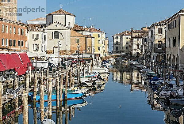 Canal Vena  Chioggia  Venedig  Italien  Europa