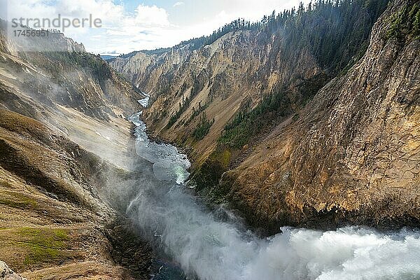 Wasserfall Lower Falls  Yellowstone River fließt durch Schlucht  Grand Canyon of the Yellowstone  Blick vom North Rim  Brink of the Lower Falls  Yellowstone National Park  Wyoming  USA  Nordamerika