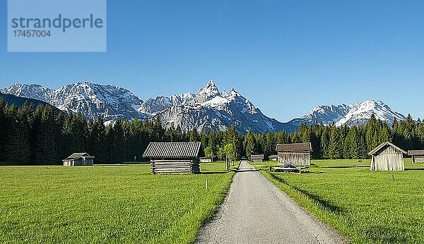 Straße durch Wiese mit Heustadln  hinten verschneite Berggipfel im Frühling  Mieminger Kette mit Ehrwalder Sonnenspitze  Ehrwald  Tirol  Österreich  Europa