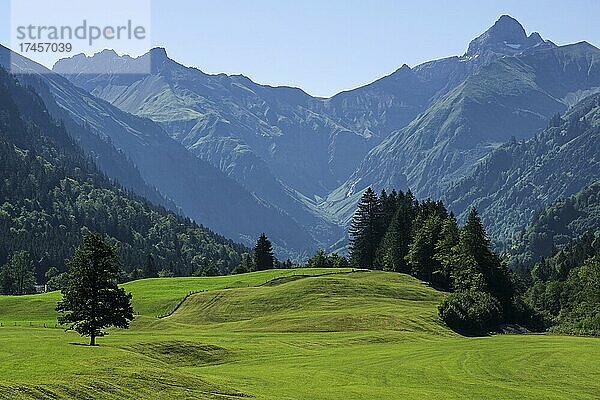 Trettachtal bei Dietersberg  hinten Allgäuer Alpen  Nähe Oberstdorf  Oberallgäu  Allgäu  Bayern  Deutschland  Europa