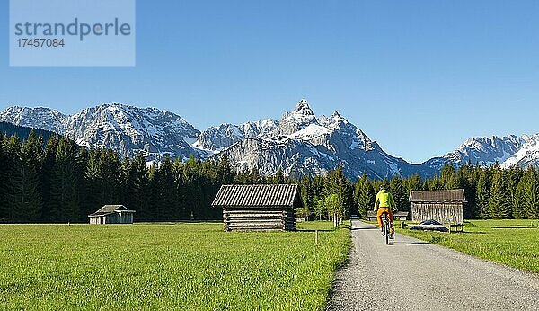 Mountainbiker auf Straße durch Wiese mit Heustadln  hinten verschneite Berggipfel im Frühling  Mieminger Kette mit Ehrwalder Sonnenspitze  Ehrwald  Tirol  Österreich  Europa