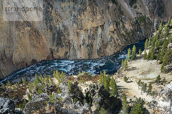 Blick auf Fluss in einer Schlucht  Grand Canyon of the Yellowstone River  Ausblick vom North Rim  Red Rock Viewpoint  Yellowstone Nationalpark  Wyoming  USA  Nordamerika