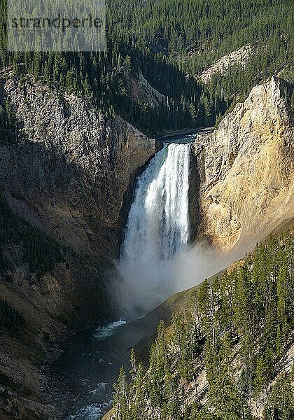 Lower Falls  Wasserfall in einer Schlucht  Grand Canyon of the Yellowstone River  Ausblick vom North Rim  Red Rock Viewpoint  Yellowstone Nationalpark  Wyoming  USA  Nordamerika