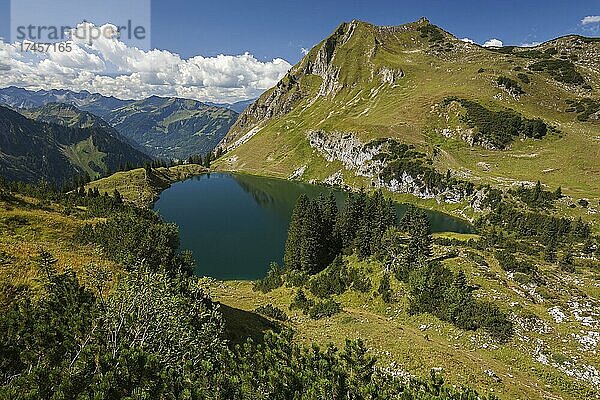 Ausblick auf Seealpsee  Allgäuer Alpen und Seeköpfle  Nebelhorn  Oberstdorf  Oberallgäu  Allgäu  Bayern  Deutschland  Europa