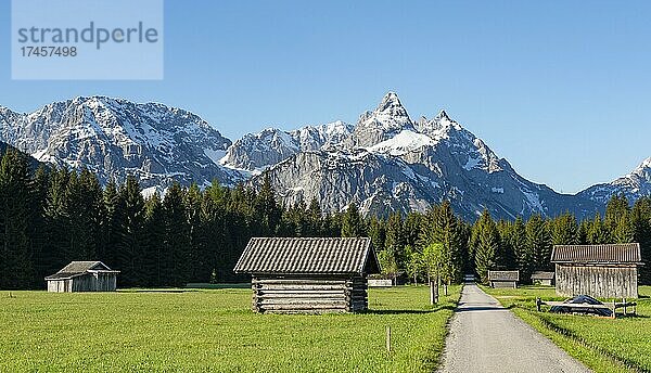 Straße durch Wiese mit Heustadln  hinten verschneite Berggipfel im Frühling  Mieminger Kette mit Ehrwalder Sonnenspitze  Ehrwald  Tirol  Österreich  Europa