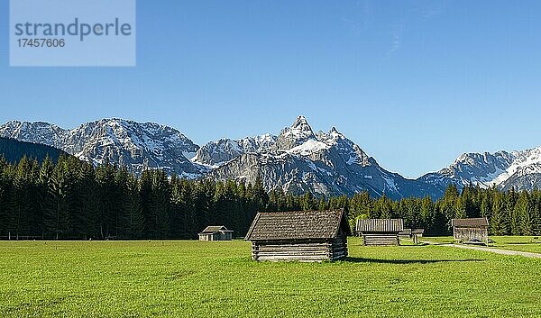 Wiese mit Heustadln  hinten verschneite Berggipfel im Frühling  Mieminger Kette mit Ehrwalder Sonnenspitze  Ehrwald  Tirol  Österreich  Europa
