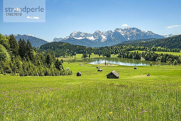 Blumenwiese mit Heustadl am Geroldsee  Blick auf Karwendelgebirge im Frühling  Gerold  Bayern  Deutschland  Europa