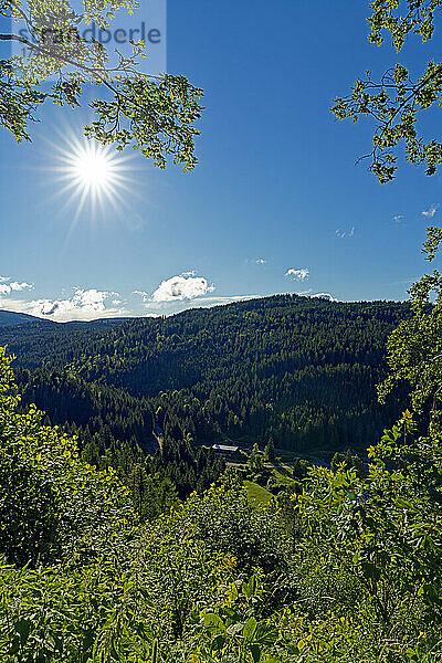 Landschaft  Berg  Feldberg