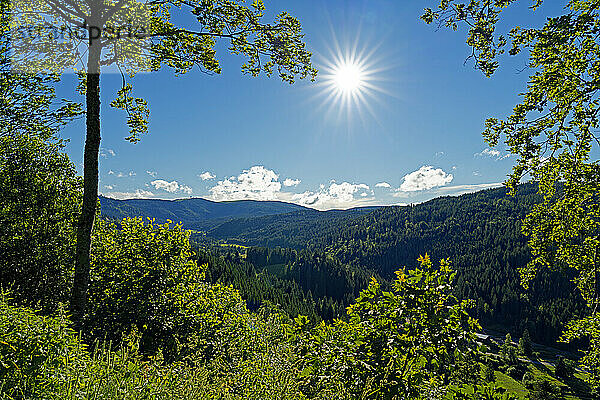 Landschaft  Berg  Feldberg