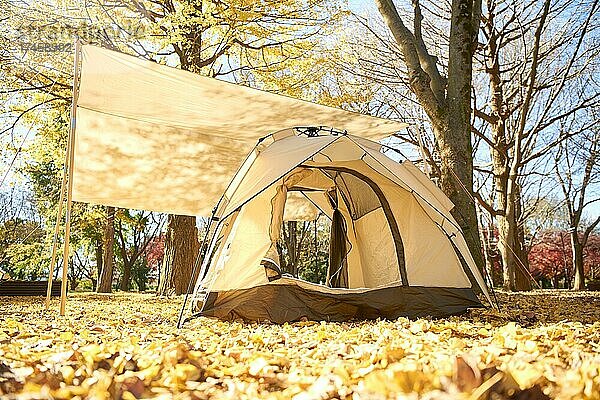 Zelt auf dem Campingplatz